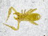  ( - BGE_00502_D07)  @11 [ ] Copyright (2024) Unspecified Croatian Biospeleological Society