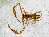  ( - BGE_00508_A10)  @11 [ ] Copyright (2025) Unspecified Croatian Biospeleological Society