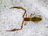  ( - BGE_00508_A12)  @11 [ ] Copyright (2025) Unspecified Croatian Biospeleological Society