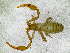  ( - BGE_00508_C03)  @11 [ ] Copyright (2025) Unspecified Croatian Biospeleological Society
