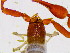  ( - BGE_00508_C04)  @11 [ ] Copyright (2025) Unspecified Croatian Biospeleological Society