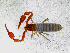  ( - BGE_00508_C04)  @11 [ ] Copyright (2025) Unspecified Croatian Biospeleological Society