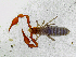  ( - BGE_00508_C04)  @11 [ ] Copyright (2025) Unspecified Croatian Biospeleological Society