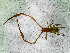  ( - BGE_00508_C07)  @11 [ ] Copyright (2025) Unspecified Croatian Biospeleological Society