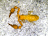  ( - BGE_00508_D06)  @11 [ ] Copyright (2024) Unspecified Croatian Biospeleological Society