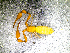  ( - BGE_00508_D07)  @11 [ ] Copyright (2024) Unspecified Croatian Biospeleological Society