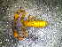  ( - BGE_00508_D07)  @11 [ ] Copyright (2024) Unspecified Croatian Biospeleological Society