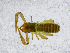  ( - BGE_00508_D09)  @11 [ ] Copyright (2025) Unspecified Croatian Biospeleological Society