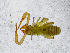  ( - BGE_00508_D09)  @11 [ ] Copyright (2025) Unspecified Croatian Biospeleological Society