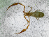  ( - BGE_00508_D12)  @11 [ ] Copyright (2025) Unspecified Croatian Biospeleological Society