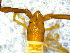  ( - BGE_00508_E04)  @11 [ ] Copyright (2024) Unspecified Croatian Biospeleological Society