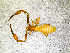  ( - BGE_00508_E04)  @11 [ ] Copyright (2024) Unspecified Croatian Biospeleological Society