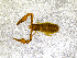  ( - BGE_00508_F02)  @11 [ ] Copyright (2024) Unspecified Croatian Biospeleological Society