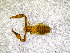  ( - BGE_00508_F02)  @11 [ ] Copyright (2024) Unspecified Croatian Biospeleological Society