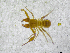  ( - BGE_00502_D11)  @11 [ ] Copyright (2024) Unspecified Croatian Biospeleological Society