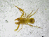  ( - BGE_00502_D11)  @11 [ ] Copyright (2024) Unspecified Croatian Biospeleological Society
