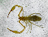  ( - BGE_00508_F04)  @11 [ ] Copyright (2025) Unspecified Croatian Biospeleological Society