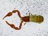 ( - BGE_00508_F06)  @11 [ ] Copyright (2025) Unspecified Croatian Biospeleological Society