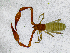 ( - BGE_00508_F07)  @11 [ ] Copyright (2025) Unspecified Croatian Biospeleological Society