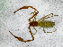  ( - BGE_00508_F08)  @11 [ ] Copyright (2025) Unspecified Croatian Biospeleological Society