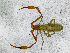  ( - BGE_00508_F09)  @11 [ ] Copyright (2025) Unspecified Croatian Biospeleological Society