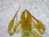  ( - BGE_00508_F12)  @11 [ ] Copyright (2024) Unspecified Croatian Biospeleological Society