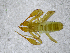  ( - BGE_00508_F12)  @11 [ ] Copyright (2024) Unspecified Croatian Biospeleological Society