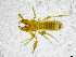  ( - BGE_00502_D12)  @11 [ ] Copyright (2024) Unspecified Croatian Biospeleological Society