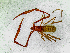  ( - BGE_00508_G04)  @11 [ ] Copyright (2024) Unspecified Croatian Biospeleological Society