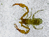  ( - BGE_00508_G07)  @11 [ ] Copyright (2024) Unspecified Croatian Biospeleological Society