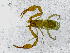  ( - BGE_00508_G07)  @11 [ ] Copyright (2024) Unspecified Croatian Biospeleological Society