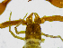  ( - BGE_00508_G08)  @11 [ ] Copyright (2024) Unspecified Croatian Biospeleological Society