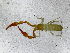  ( - BGE_00508_H01)  @11 [ ] Copyright (2024) Unspecified Croatian Biospeleological Society