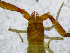  ( - BGE_00508_H02)  @11 [ ] Copyright (2024) Unspecified Croatian Biospeleological Society