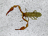  ( - BGE_00508_H02)  @11 [ ] Copyright (2024) Unspecified Croatian Biospeleological Society
