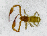  ( - BGE_00508_H04)  @11 [ ] Copyright (2024) Unspecified Croatian Biospeleological Society