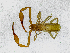  ( - BGE_00508_H04)  @11 [ ] Copyright (2024) Unspecified Croatian Biospeleological Society