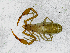  ( - BGE_00508_H05)  @11 [ ] Copyright (2024) Unspecified Croatian Biospeleological Society