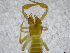  ( - BGE_00502_E01)  @11 [ ] Copyright (2024) Unspecified Croatian Biospeleological Society