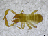  ( - BGE_00502_E01)  @11 [ ] Copyright (2024) Unspecified Croatian Biospeleological Society
