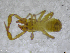  ( - BGE_00502_E01)  @11 [ ] Copyright (2024) Unspecified Croatian Biospeleological Society