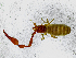  ( - BGE_00508_H06)  @11 [ ] Copyright (2024) Unspecified Croatian Biospeleological Society