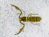  ( - BGE_00507_B09)  @11 [ ] Copyright (2024) Unspecified Croatian Biospeleological Society