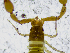  ( - BGE_00507_B10)  @11 [ ] Copyright (2024) Unspecified Croatian Biospeleological Society