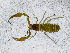  ( - BGE_00507_B10)  @11 [ ] Copyright (2024) Unspecified Croatian Biospeleological Society