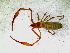  ( - BGE_00508_H09)  @11 [ ] Copyright (2025) Unspecified Croatian Biospeleological Society