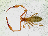  ( - BGE_00508_H09)  @11 [ ] Copyright (2025) Unspecified Croatian Biospeleological Society