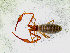  ( - BGE_00508_H10)  @11 [ ] Copyright (2025) Unspecified Croatian Biospeleological Society