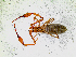  ( - BGE_00508_H10)  @11 [ ] Copyright (2025) Unspecified Croatian Biospeleological Society