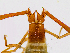  ( - BGE_00508_H11)  @11 [ ] Copyright (2025) Unspecified Croatian Biospeleological Society